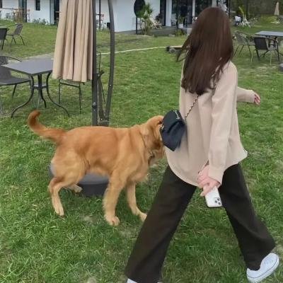 迷失丛林