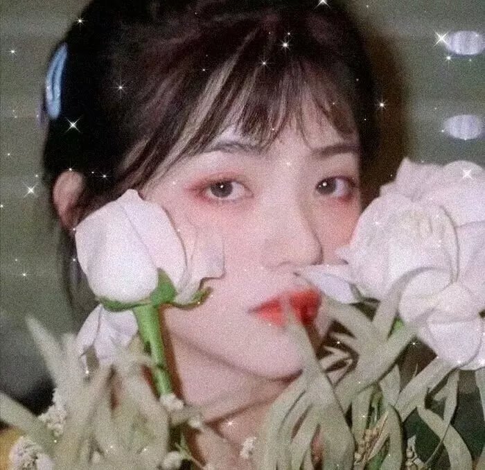 豺狼