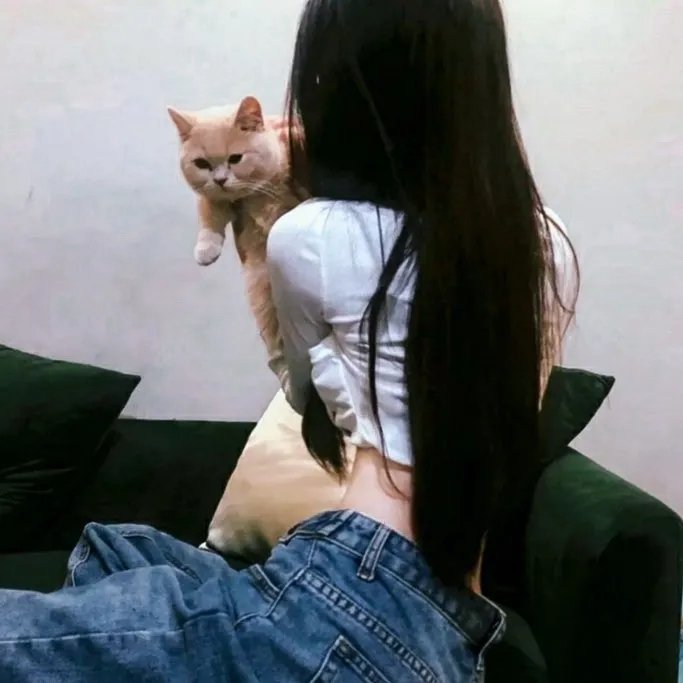 杀机四起